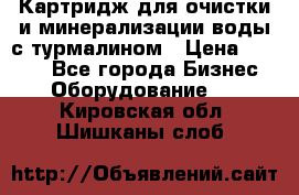 Картридж для очистки и минерализации воды с турмалином › Цена ­ 1 000 - Все города Бизнес » Оборудование   . Кировская обл.,Шишканы слоб.